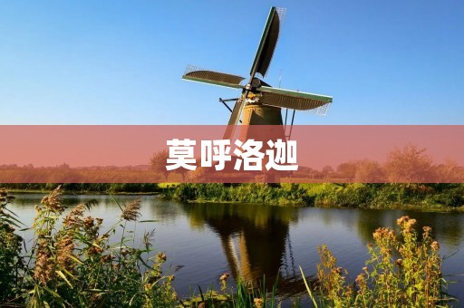 莫呼洛迦:诗歌与思想的交织之地
