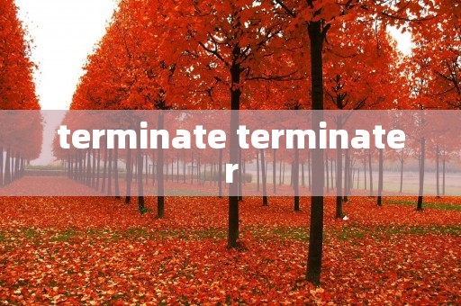 terminate terminater
