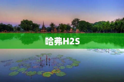 哈弗H2S：小巧灵动的城市SUV