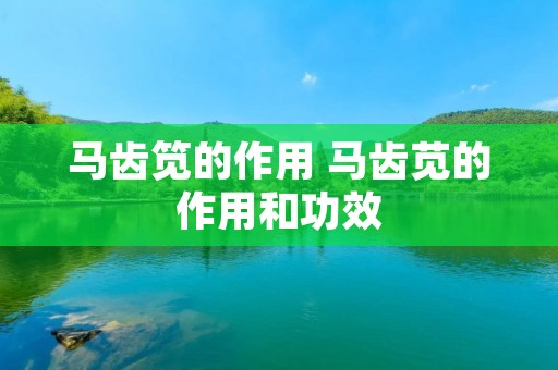 马齿笕的作用 马齿苋的作用和功效
