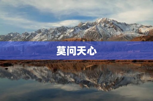 莫问天心:探寻人性的深渊与光明