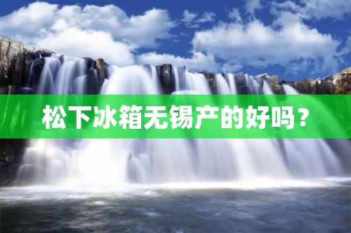松下冰箱无锡产的好吗? 松下冰箱无锡产的好吗?