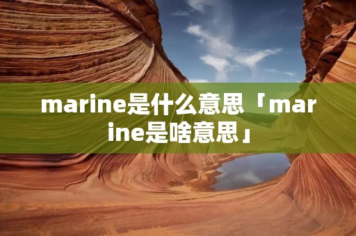 marine是什么意思「marine是啥意思」 marine是什么意思「marine是啥意思」