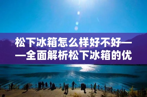 松下冰箱怎么样好不好——全面解析松下冰箱的优势与特点