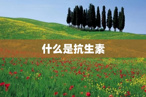 什么是抗生素