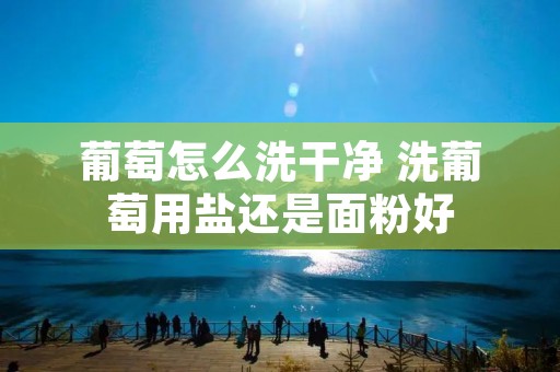 葡萄怎么洗干净 洗葡萄用盐还是面粉好