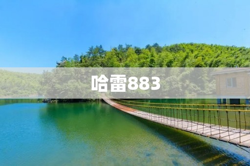哈雷883:传奇之车的魅力 哈雷883:传奇之车的魅力