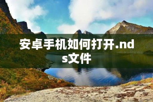 安卓手机如何打开.nds文件