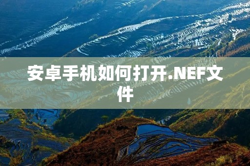 安卓手机如何打开.NEF文件
