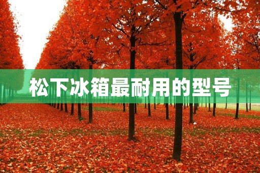松下冰箱最耐用的型号：打造持久耐用的冷藏解决方案