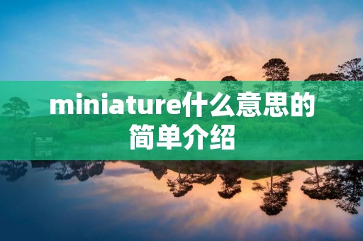 miniature什么意思的简单介绍