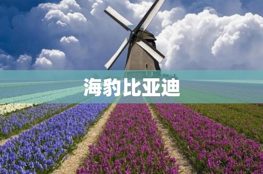 海豹比亚迪:引领中国新能源汽车革命的先锋