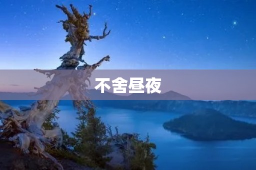 不舍昼夜:追寻梦想的奋斗之路