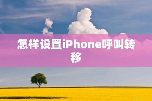 怎样设置iPhone呼叫转移