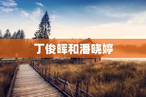 丁俊晖和潘晓婷：一对乒乓球界的佳偶