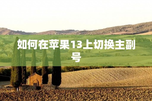 如何在苹果13上切换主副号