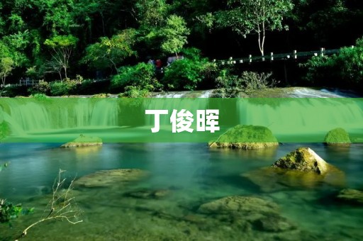 丁俊晖:中国职业斯诺克球手的传奇之路 丁俊晖:中国职业斯诺克球手的传奇之路
