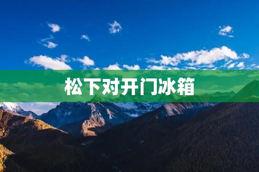 松下对开门冰箱：品质与创新的完美结合