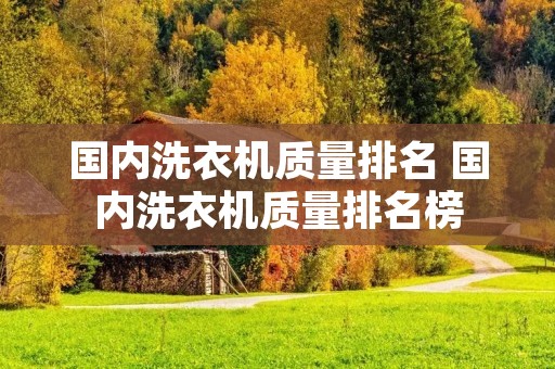 国内洗衣机质量排名 国内洗衣机质量排名榜