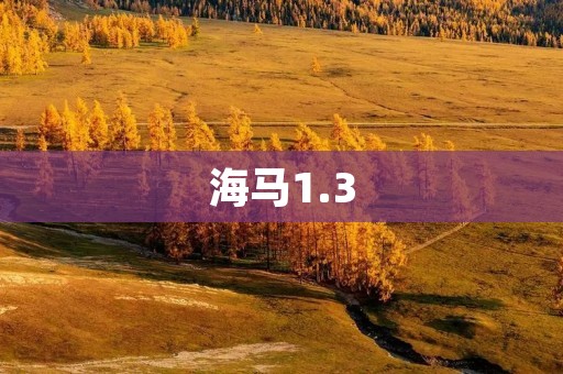 海马1.3:驾驭**与实用的完美融合 海马1.3:驾驭**与实用的完美融合
