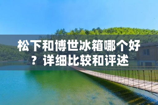松下和博世冰箱哪个好？详细比较和评述