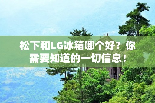 松下和LG冰箱哪个好？你需要知道的一切信息！