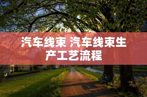 汽车线束 汽车线束生产工艺流程 汽车线束 汽车线束生产工艺流程
