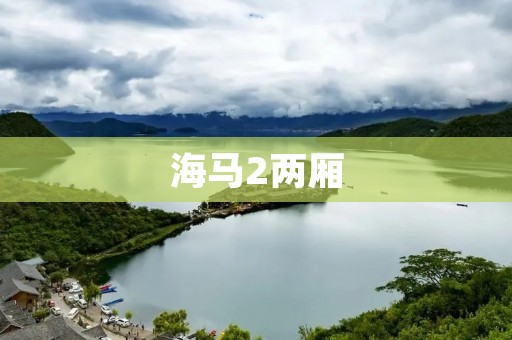 海马2两厢：年轻时尚的城市代步选择
