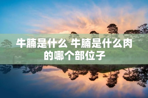 牛腩是什么 牛腩是什么肉的哪个部位子
