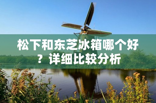 松下和东芝冰箱哪个好？详细比较分析