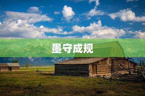 墨守成规：束缚创新与进步的枷锁