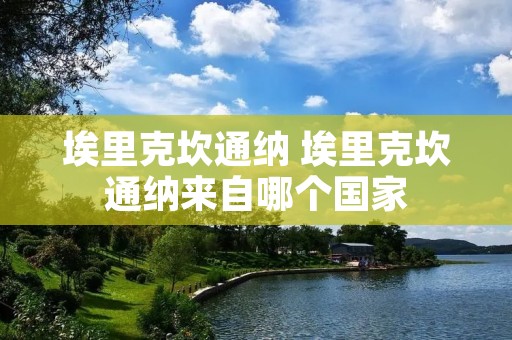 埃里克坎通纳 埃里克坎通纳来自哪个国家