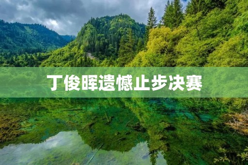丁俊晖遗憾止步决赛：一场失利的反思