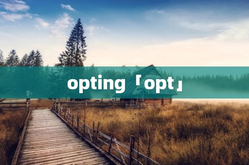 opting「opt」