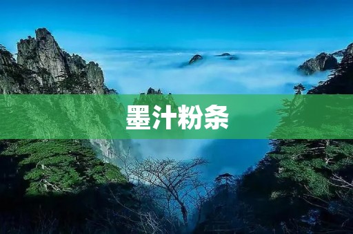 墨汁粉条：一种独特的美食体验