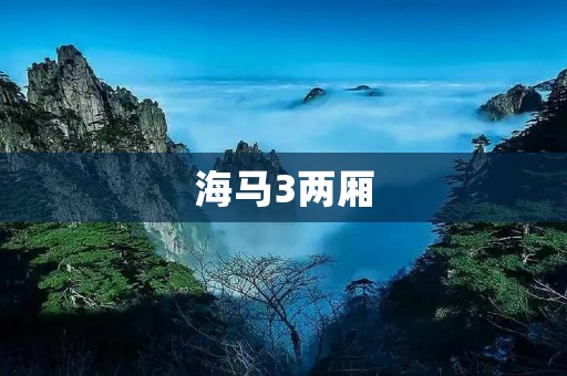 海马3两厢：年轻时尚的城市代步选择