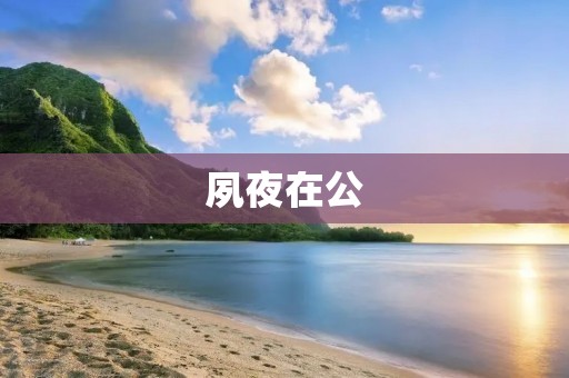夙夜在公：一个自我奋斗的故事