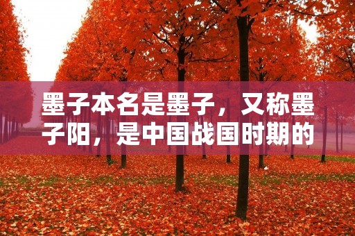 墨子本名是墨子，又称墨子阳，是中国战国时期的思想家、科学家和哲学家。他的真实姓名是墨子阳，但后世多称之为墨子。他是中国古代著名的思想家、科学家、教育家和文化名人。墨子本名是墨子阳，他是战国时期的一位重要人物，他的名字也成为了他的学派名称。