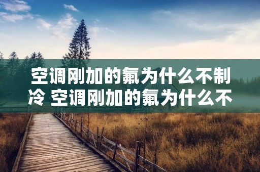 空调刚加的氟为什么不制冷 空调刚加的氟为什么不凉