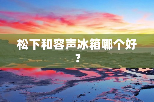 松下和容声冰箱哪个好？