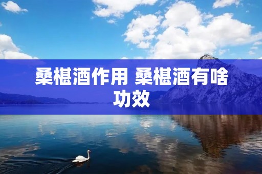 桑椹酒作用 桑椹酒有啥功效