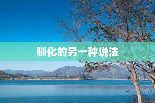 驯化的另一种说法