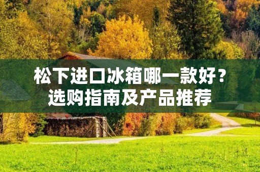 松下进口冰箱哪一款好？选购指南及产品推荐