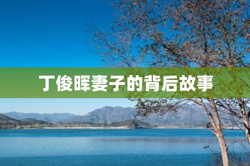 丁俊晖妻子的背后故事：爱情、支持与成就