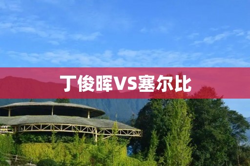 丁俊晖VS塞尔比：巅峰对决的较量
