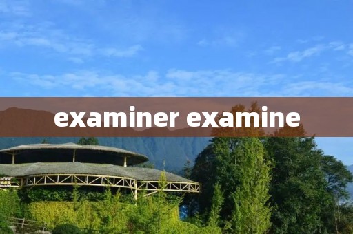 examiner examine examiner examine