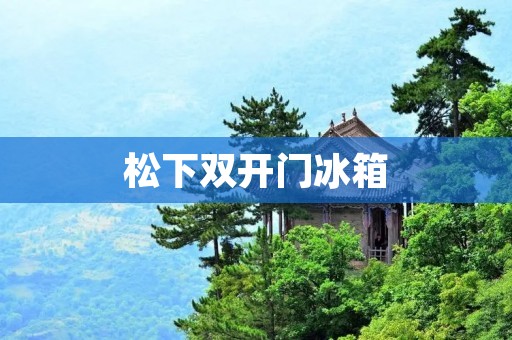 松下**门冰箱：高品质与先进功能的完美结合