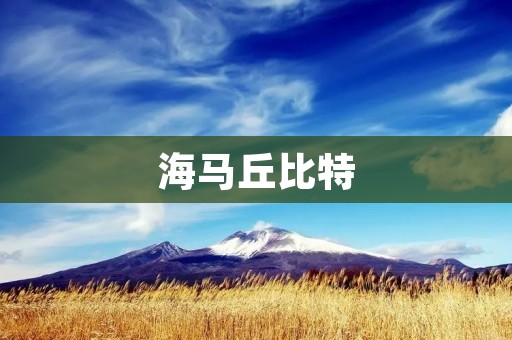 海马丘比特：海洋中的神奇生物