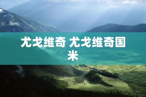 尤戈维奇 尤戈维奇国米