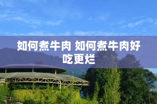 如何煮牛肉 如何煮牛肉好吃更烂
